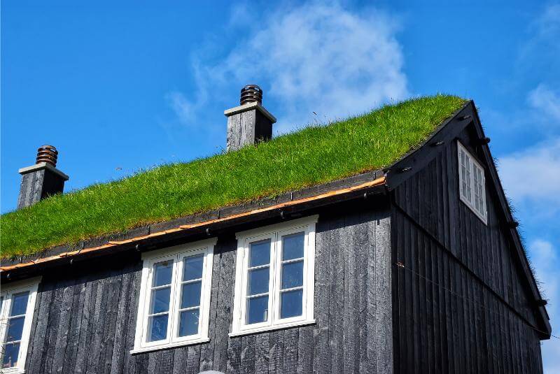 Eco Roof